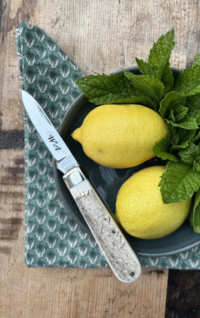 homestead knife with stag handle – handmade in sheffield
